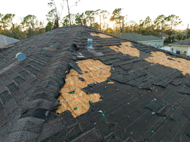 Professional Roofing Services in Stickney, IL